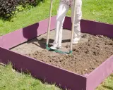 Une personne utilise un râteau pour ameublir la terre dans un carré potager violet.