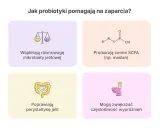 Probiotyk na zaparcia: wspiera równowagę mikrobioty, produkuje maślan, poprawia perystaltykę jelit i może zwiększać częstotliwość wypróżnień.