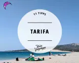 11 Tipps für Tarifa, Spanien: Kitesurfer und Hunde genießen den Strand.