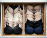 Un cassetto ordinato con reggiseni coppe preformate in varie tonalità neutre e scure. Il loro significato è offrire supporto e forma.
