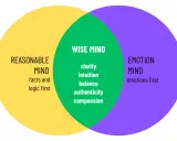 Venn-diagram som visar hur "wise mind" uppstår ur en balans mellan "reasonable mind" (logik) och "emotion mind" (känslor).