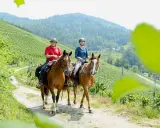 Zwei Reiter genießen das Distanz reiten auf einem Feldweg durch Weinberge mit Blick auf bewaldete Hügel.