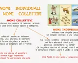 Spiegazione dei nomi collettivi e individuali per la classe terza, con esempi visivi di musicista, ape, isola, orchestra, sciame e arcipelago.