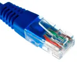 Gros plan sur un connecteur de câble ethernet fibre bleu, montrant les fils colorés à l'intérieur.