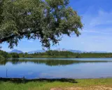 Un ramo di un grande albero ombreggia la riva erbosa del lago di Ragogna. Le montagne sullo sfondo si riflettono sull'acqua calma.