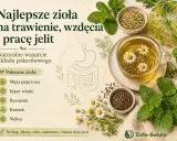 Kubek herbaty z rumiankiem, miseczki z koprem włoskim i kminkiem, liście mięty i melisy.
