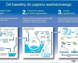 Jak powstaje papier wartościowy: od bawełny do pulpy, formowanie na bębnie z zabezpieczeniami, wykańczanie hologramem i folią, cięcie, pakowanie, transport do skarbca.