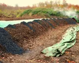 Reihen von Komposthaufen, die für Biomasse Energie vorbereitet werden. Ein Radlader bearbeitet das Material, während Dampf aufsteigt.