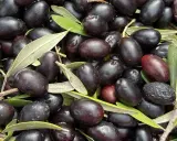 Un montón de aceitunas negras y hojas verdes. ¡Aceituna y oliva es lo mismo!