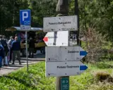 Rozdroże szlaków w górach. Co oznacza żółty szlak w górach? Tutaj widzimy drogowskazy na Palenicę Białczańską, Morskie Oko, Zazadnią i Polanę Rusinową.
