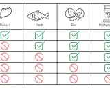 Tabelle zeigt, was eine omnivore Ernährung bedeutet: Fleisch, Fisch, Eier, Milchprodukte und pflanzliche Lebensmittel sind erlaubt.