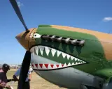 P 40 mit Haifischmaul-Bemalung und Propeller vor blauem Himmel.