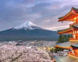 Wiosna w Japonii: kwitnące wiśnie, pagoda i ośnieżony Fudżi. Ciekawe ciekawostki o Japonii czekają!
