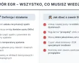 Informacje o zaworze EGR: definicja, działanie, jak dbać o jego sprawność, by uniknąć problemów z wyłączeniem egr.