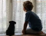 Chłopiec z pieskiem patrzą przez okno. Zastanawiamy się, od jakiego wieku dziecko może zostać samo w domu, gdy ma takiego towarzysza.