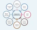 Przykładowy grafik pielęgniarki: indywidualne podejście, wsparcie emocjonalne, komfort fizyczny, ciągłość opieki, dostęp do informacji i świadczeń, uwzględnienie preferencji pacjenta, włączenie rodziny, koordynacja.