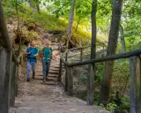 Glückliche Wanderer steigen eine Holztreppe im Wiehengebirge hinauf. Die Sonne scheint durch die Bäume und beleuchtet den Waldweg.