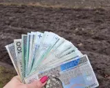 Dłoń trzyma wachlarz polskich banknotów, symbolizujących pomoc de minimis dla rolnika.