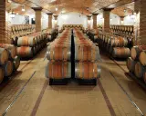 Bodega con hileras de barricas de roble sobre suelos de baldosas, creando un ambiente perfecto para la crianza de vinos.