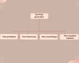 Schemat przedstawia płaską strukturę organizacyjną: Dyrekcja generalna nadzoruje piony: produkcji, finansowy, marketingu i zasobów ludzkich.