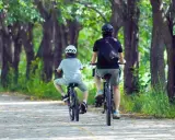 Dwie osoby na rowerach jadą alejką wśród drzew. Idealne miejsce na odkrywanie tras rowerowych Rzeszów.
