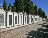 Reihe von Mausoleen auf einem Friedhof in Portugal, mit Zypressen im Hintergrund und einem steinigen Weg.