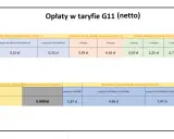 Taryfa G11 dla domu jednorodzinnego: opłaty przejściowe, stałe, abonamentowe i mocowe. Sprawdź, jaka taryfa prądu będzie najlepsza.