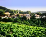 Village pittoresque niché au cœur d'un vignoble verdoyant, sous un ciel bleu clair. La tâche vin est omniprésente.