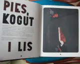 Otwarta książka z tekstem o psie i kogucie, a obok ilustracja lisa i koguta. Bajka uczy, jak sprytni ludzie, jak w tej opowieści z ezopem, potrafią przechytrzyć wrogów.