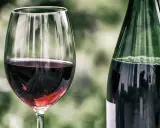 Ein Glas mit tiefrotem Zweigelt Rotwein steht neben einer grünen Flasche. Der Wein schimmert im Glas.