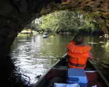 Barn paddlar kanot under en stenbro. Flera kanoter syns framför i en solig skogssjö.