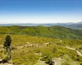 Malowniczy szlak na Baranią Górę, wijący się przez zielone wzgórza Beskidu Śląskiego. Dwoje turystów podziwia panoramę.