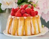 Charlotte aux fruits rouges, un délice de biscuits à la cuillère et crème rose, couronné de fraises et framboises fraîches.