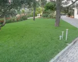 Un césped verde y frondoso, resultado de un perfecto **plantar césped**, rodea árboles y flores en un jardín cuidado.
