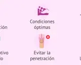 Consejos para el sexo seguro y evitar el embarazo: comunicación, anticonceptivos, condiciones óptimas, ejercicios de Kegel, evitar penetración y usar lubricantes.