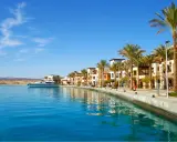 Malowniczy widok na marinę w Marsa Alam. Luksusowe jachty, palmy i kolorowe budynki tworzą idealne tło dla wypoczynku. To jedne z głównych atrakcji Marsa Alam.