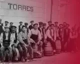 Trabajadores de Torres, donde se elabora el vino Sangre de Toro.