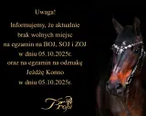 Twój przewodnik: Odznaka "Jeżdżę Konno" PZJ zdaj za 1 razem!