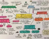 Carte mentale sur le HPI : neuro-développement, fonctionnement social et émotionnel, personnalité, performances scolaires et professionnelles, caractéristiques cognitives. Le HPI est un facteur protecteur.