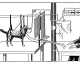 Illustration d'un chien de Pavlov suspendu, relié à des appareils, observant un homme en blouse qui manipule des commandes.