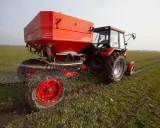 Czerwony traktor z rozsiewaczem nawozu na wiosennym polu. Odpowiedni nawóz pod warzywa na wiosnę to klucz do obfitych plonów.