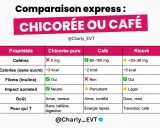 Tableau comparatif : la chicorée pure, sans caféine, est riche en fibres (inuline), idéale pour la digestion. Le café et le ricoré en contiennent aussi.