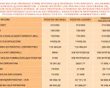 Tabela porównująca rozliczenia podatkowe dla spółki Pana Wojtka: przychody, koszty, podatki wg skali, liniowy i ryczałtowy.