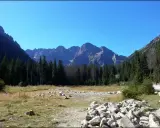 Widok na Tatry, gdzie szczyty rysy 2499 czy 2503 górują nad lasem i kamienistą doliną.