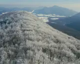Zimowa, lackowa trasa przez ośnieżone góry. Drzewa pokryte szronem tworzą bajkowy krajobraz.
