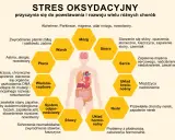 Stres oksydacyjny i wolne rodniki wpływają na mózg, wzrok, płuca, skórę, serce, układ krwionośny, nerki, stawy i układ hormonalny, prowadząc do chorób.