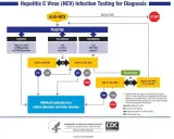 Schemat diagnostyki zakażenia HCV. Pokazuje, co to jest HCV i jak przebiega diagnostyka, od testu Anti-HCV do potwierdzenia lub wykluczenia infekcji.