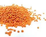 Un tas de lentilles corail, petites et orangées, s'étale sur un fond blanc. Elles sont prêtes à être cuisinées.