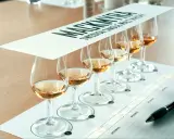 Mackmyra whiskyprovning med sex glas gyllene whisky uppradade på ett bord. En penna ligger redo för anteckningar.