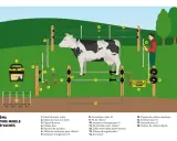 Illustration d'une installation de clôture électrique mobile pour vaches, montrant l'électrificateur, les piquets, les fils et un testeur.